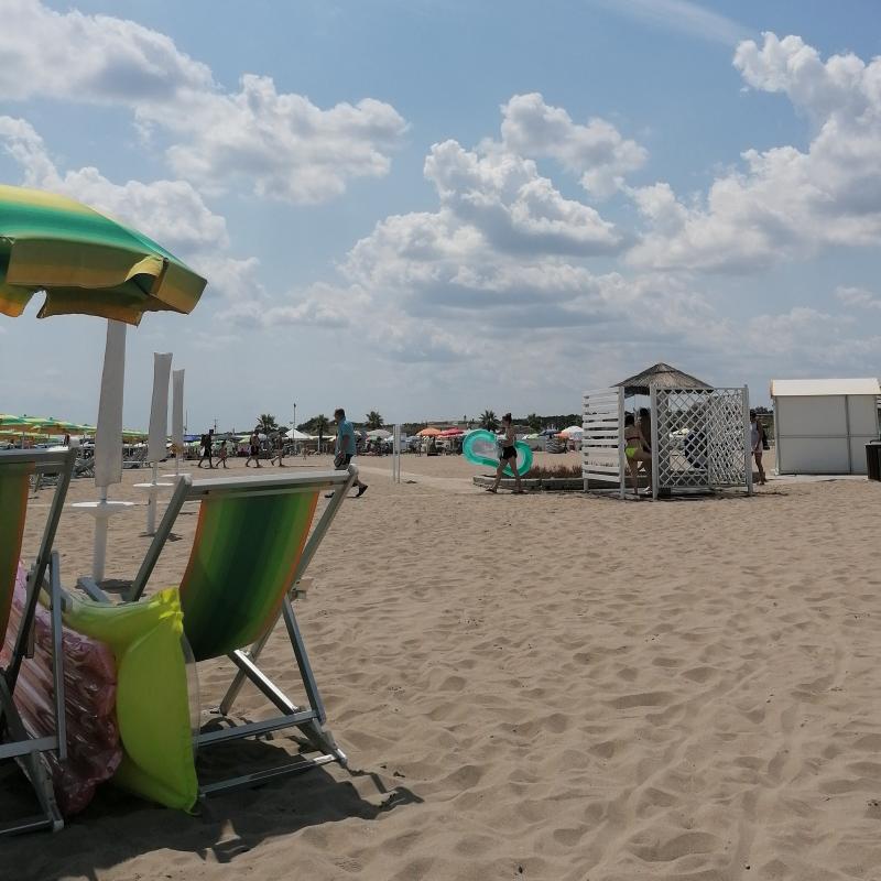 Fotosegnalazione di Rosolina mare
