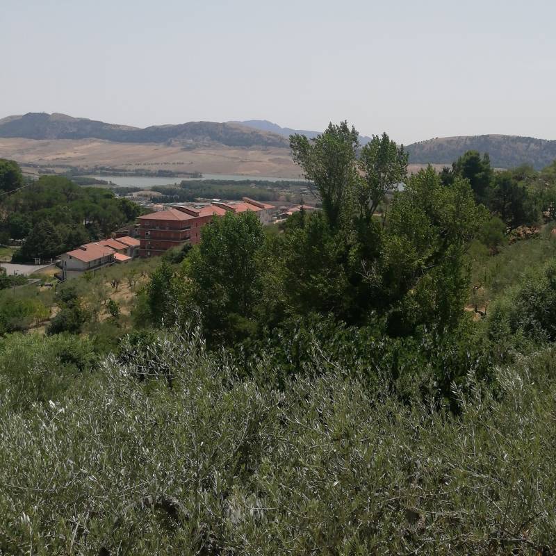 Fotosegnalazione di Piana degli albanesi