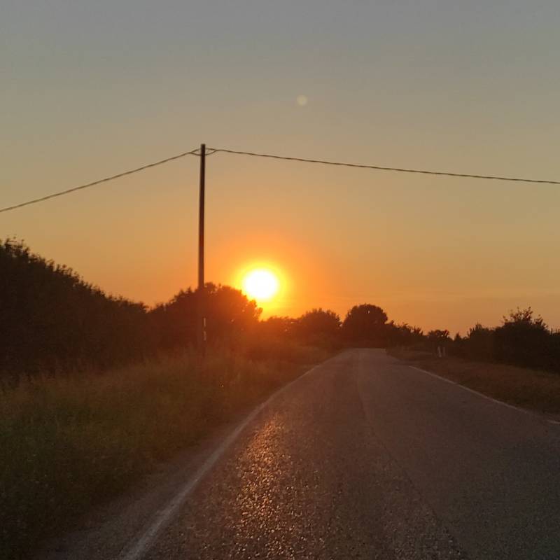 Fotosegnalazione di Quingentole