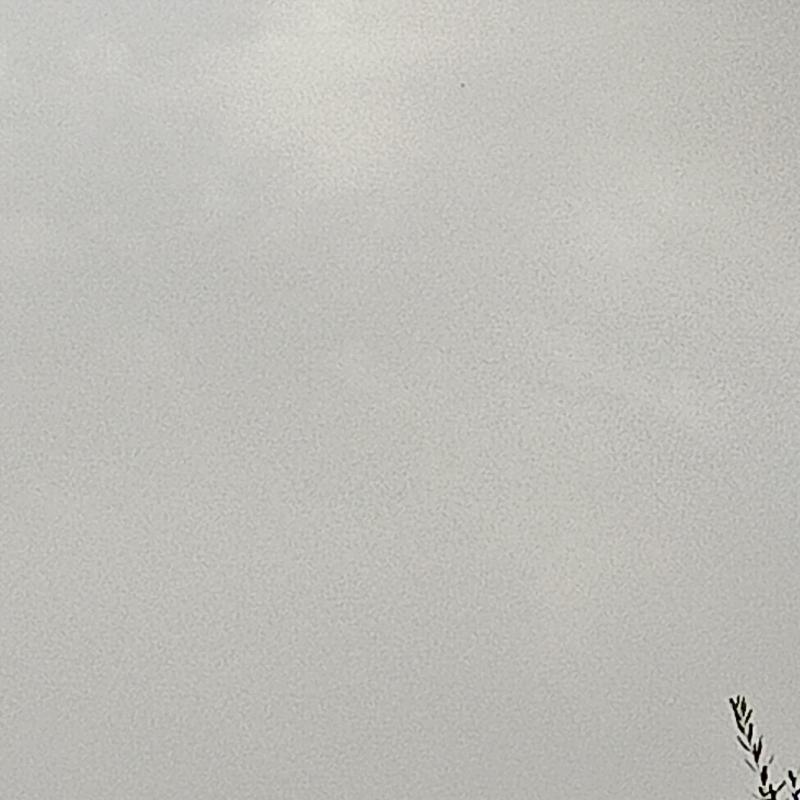 Fotosegnalazione di Fonte nuova