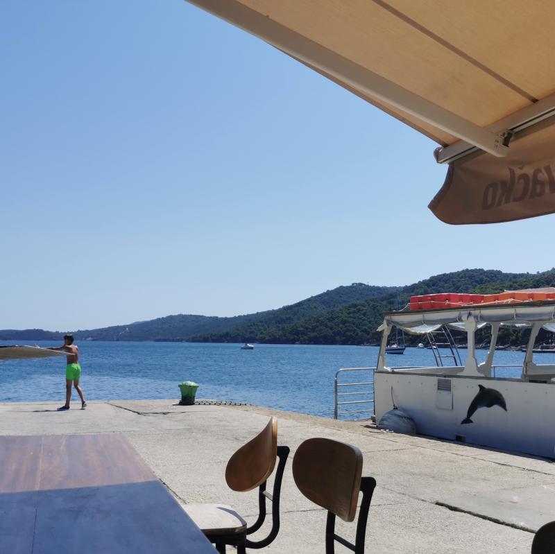 Fotosegnalazione di Boava