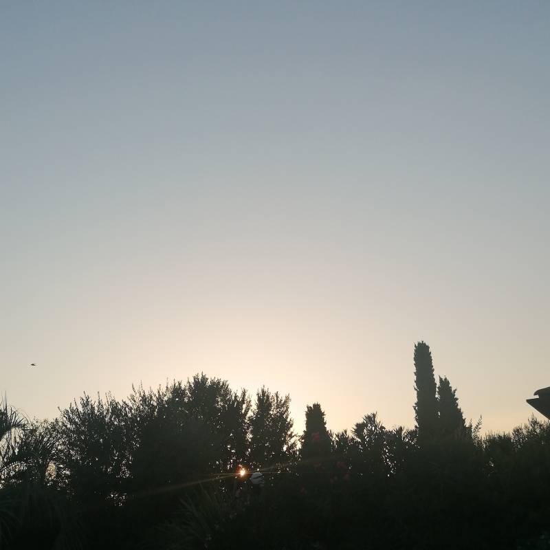 Fotosegnalazione di Moniga del garda