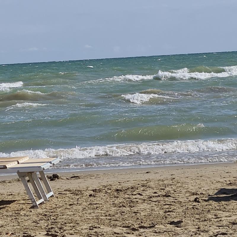 Fotosegnalazione di Senigallia