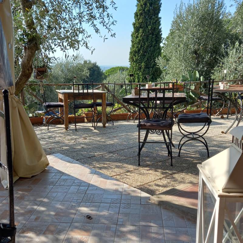 Fotosegnalazione di Castagneto carducci
