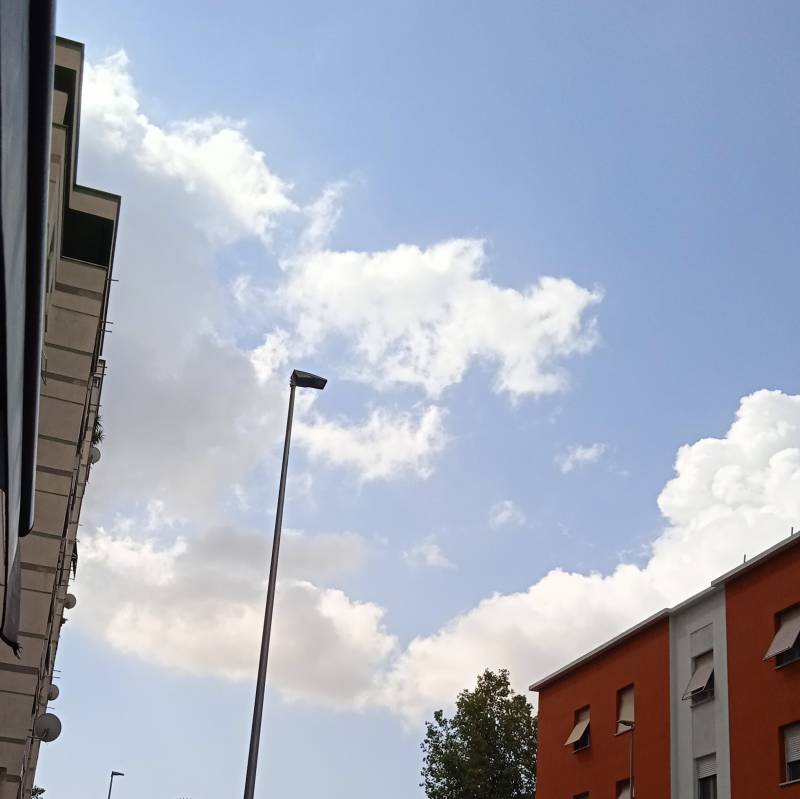 Fotosegnalazione di Latina