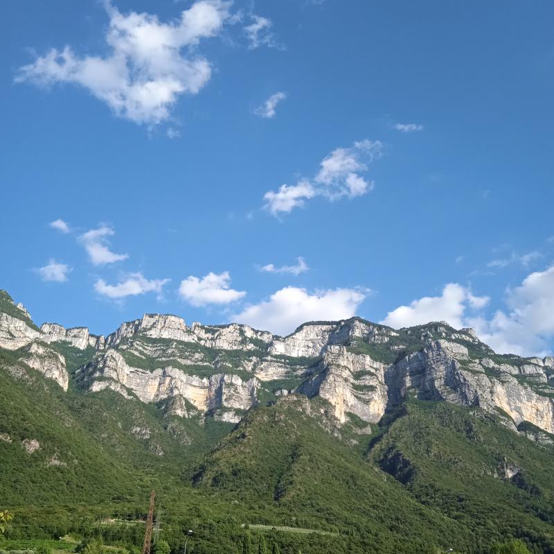 Fotosegnalazione di Avio