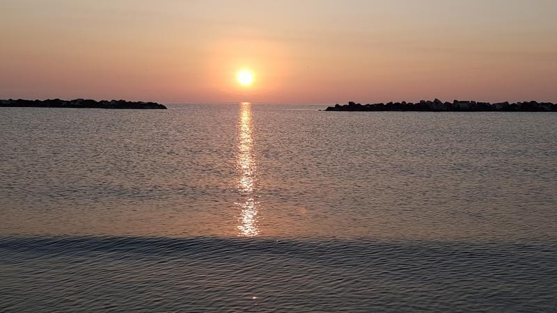 Alba