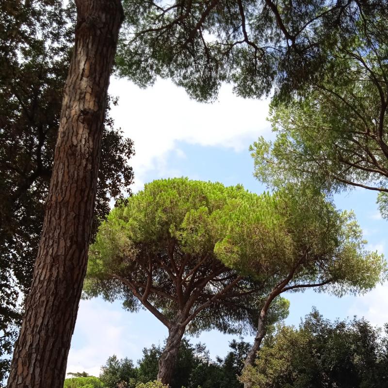 Fotosegnalazione di Latina