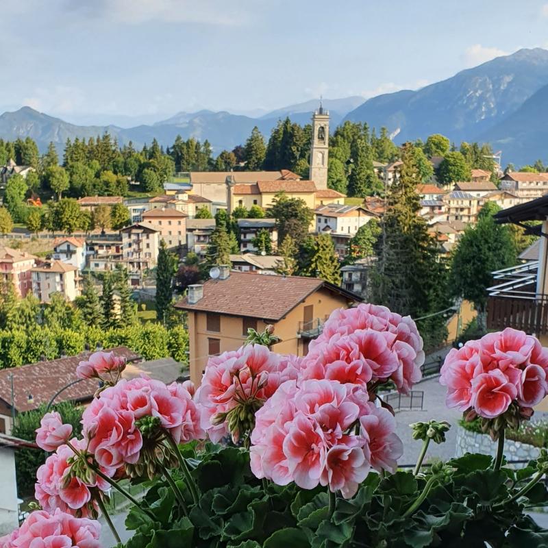 Un fiore dal terrazzo con vista su selvino