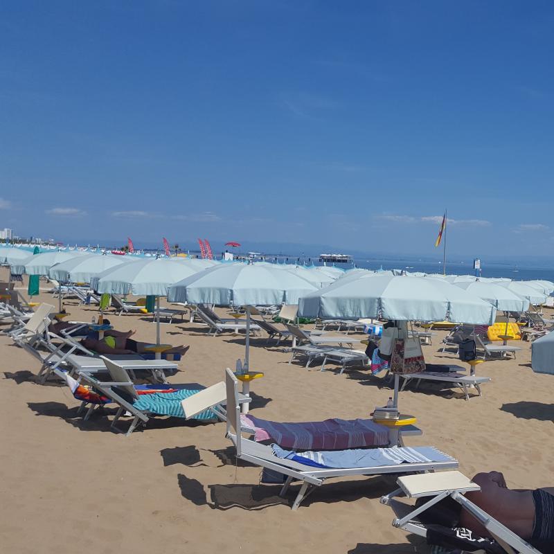 Fotosegnalazione di Lignano pineta