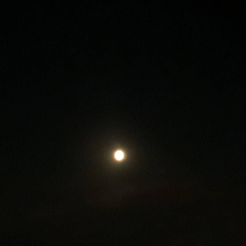 Luna quasi piena