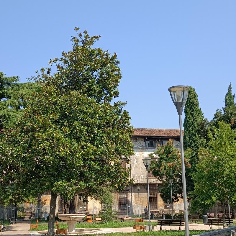 Fotosegnalazione di Verona