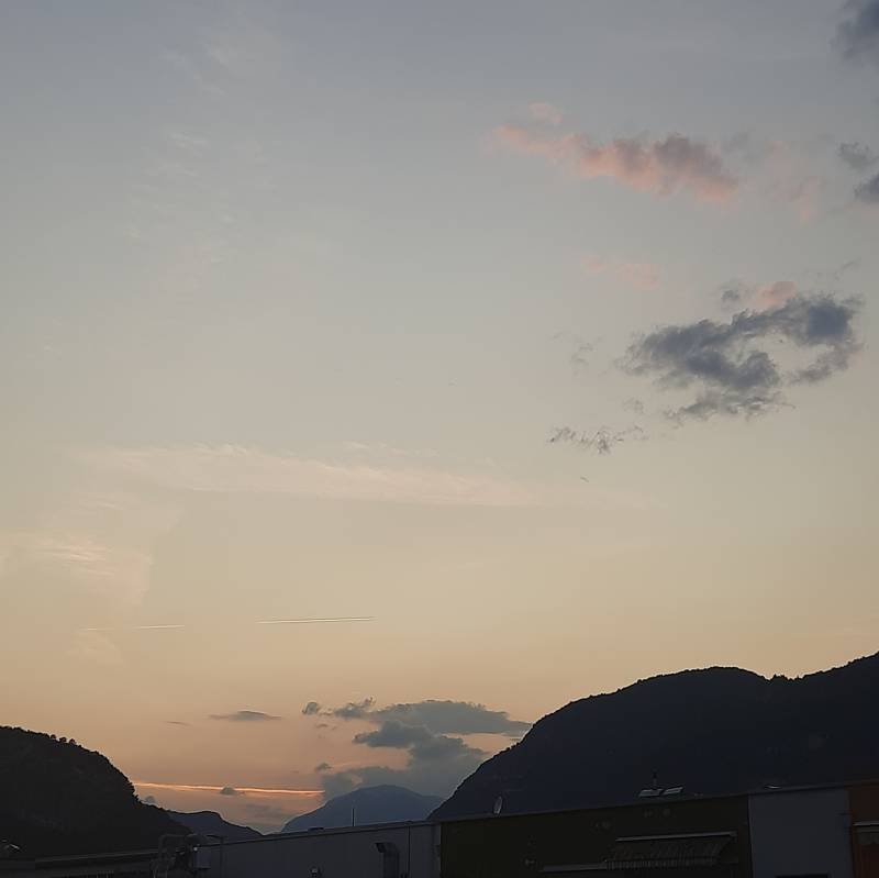 Fotosegnalazione di Mori