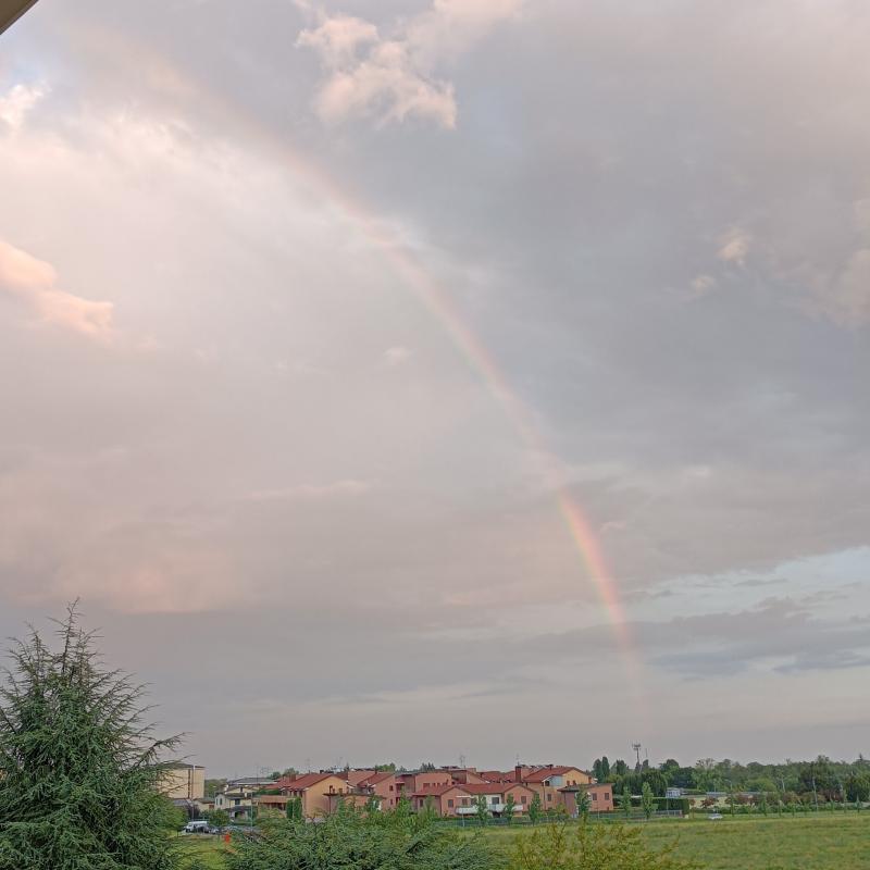 Fotosegnalazione di Mezzago