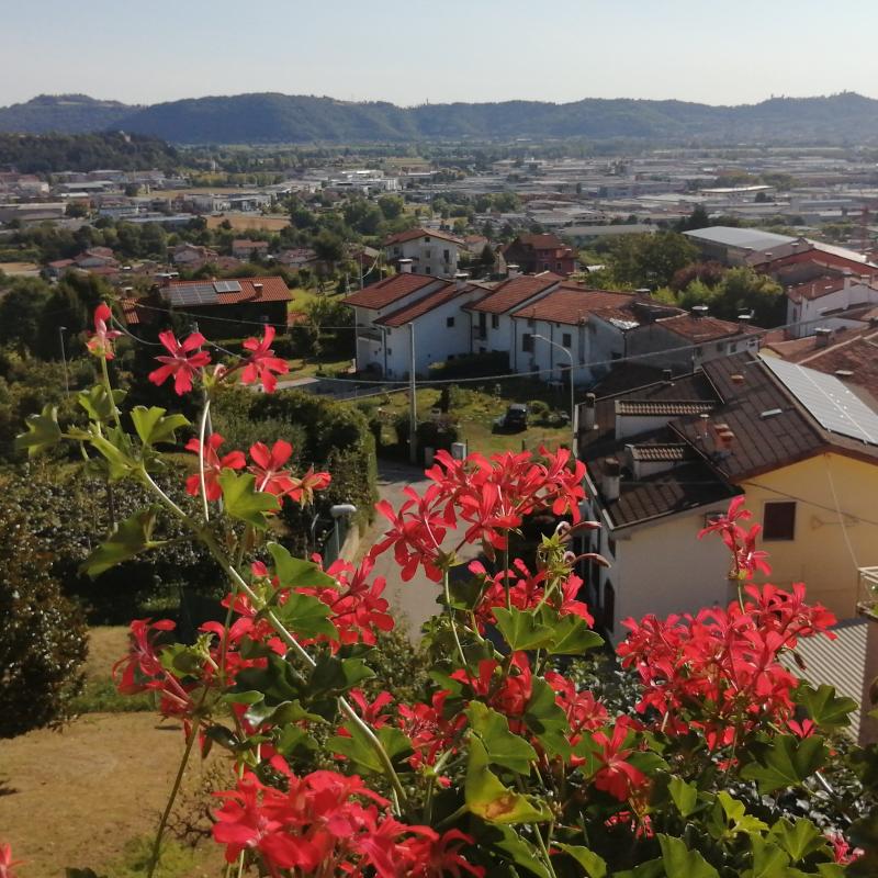 Fotosegnalazione di Arzignano