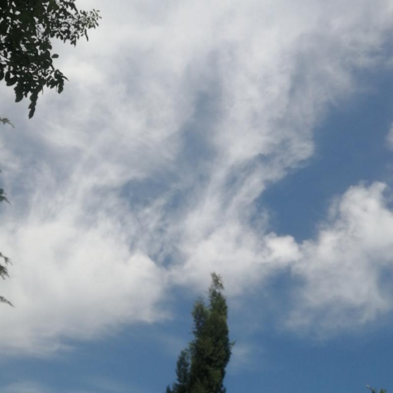 Fotosegnalazione di Casale monferrato
