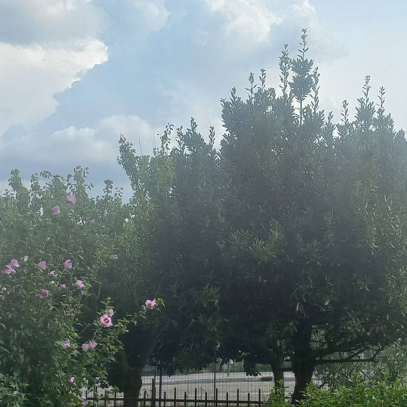 Fotosegnalazione di Buttigliera alta