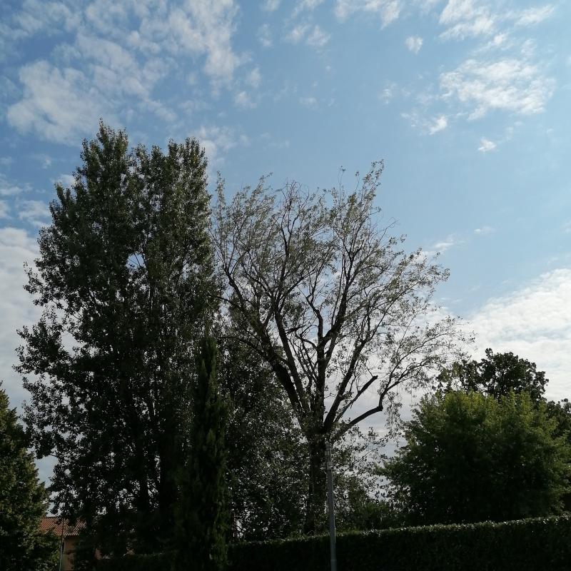 Fotosegnalazione di Moniga del garda
