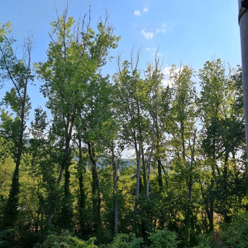 Fotosegnalazione di San severino marche