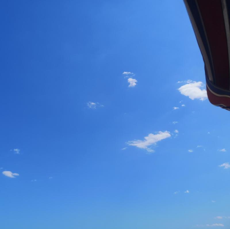 Fotosegnalazione di Pineto