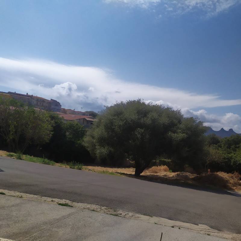 Fotosegnalazione di Tempio pausania