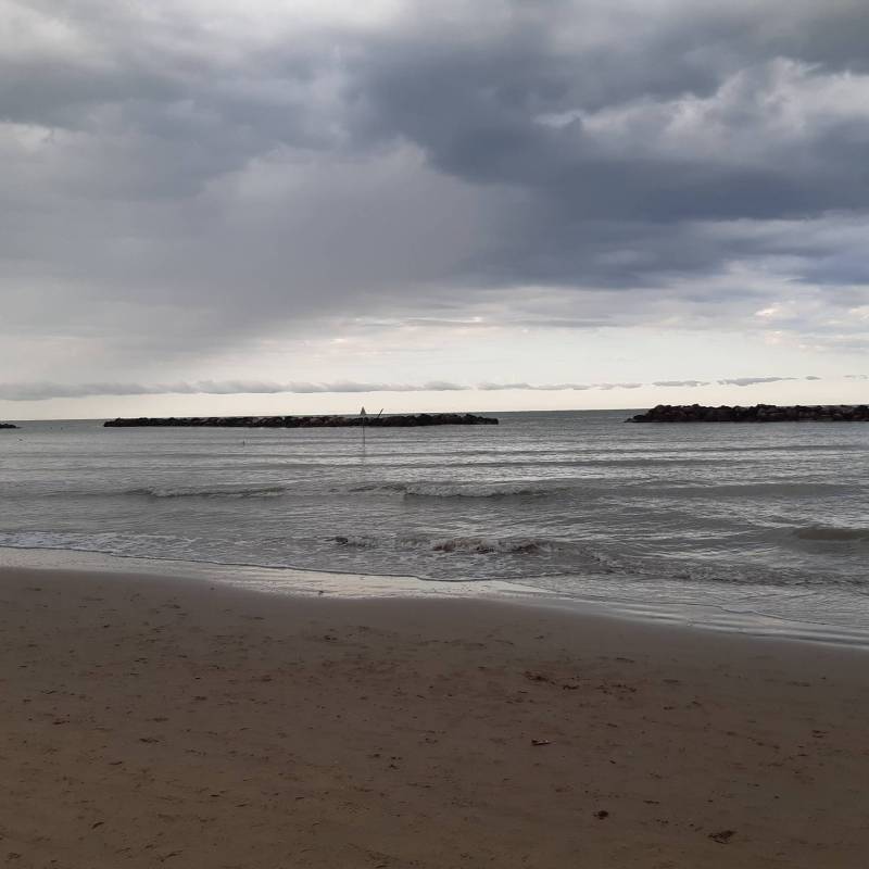 Fotosegnalazione di Bellaria igea marina