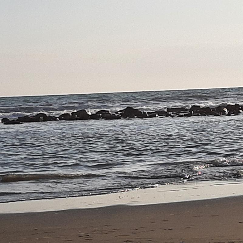 Fotosegnalazione di Marina di massa
