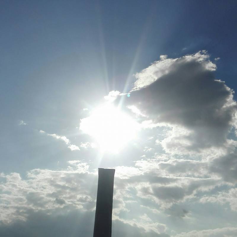 Fotosegnalazione di Margherita di savoia