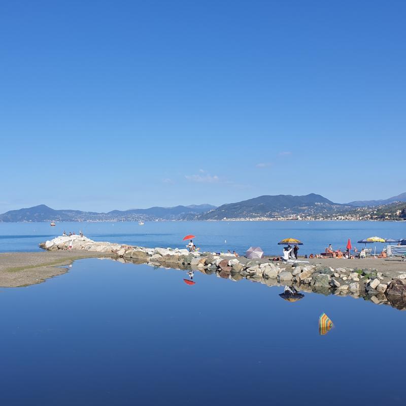 Fotosegnalazione di Sestri levante