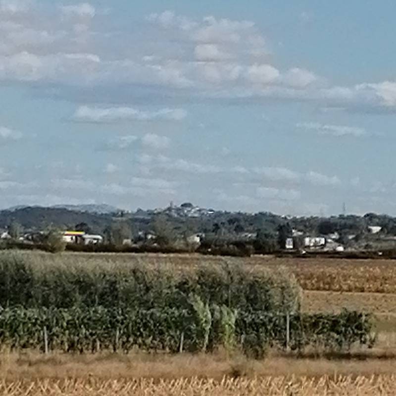 Gello di Pontedera si boccheggia