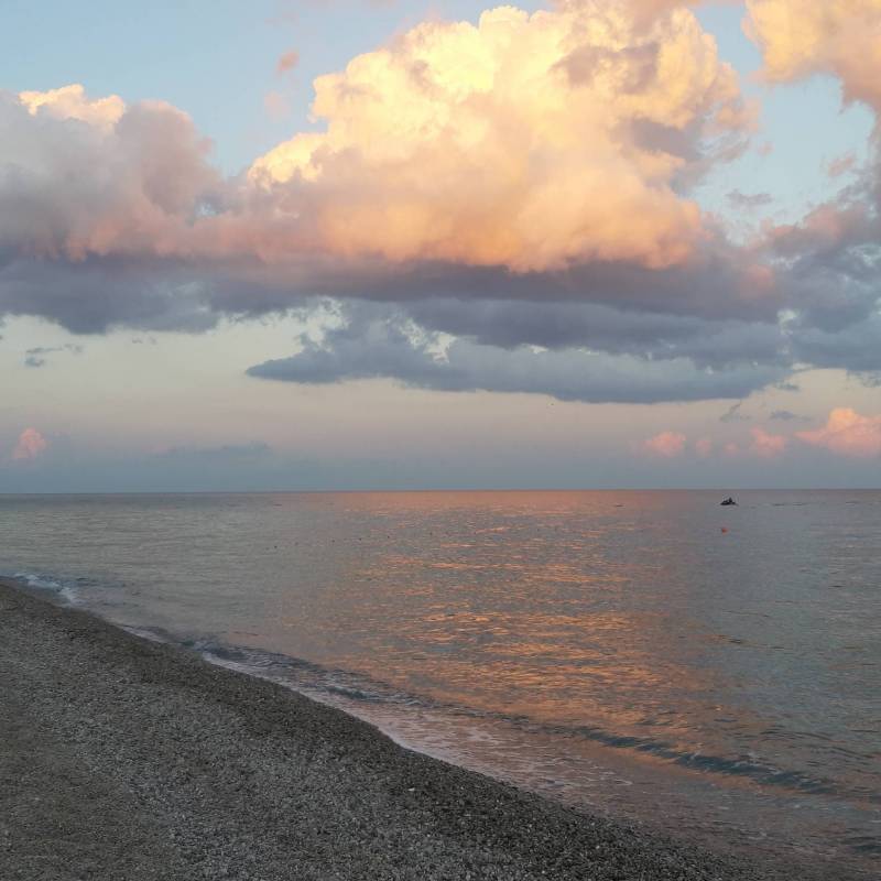 Fotosegnalazione di Caulonia marina