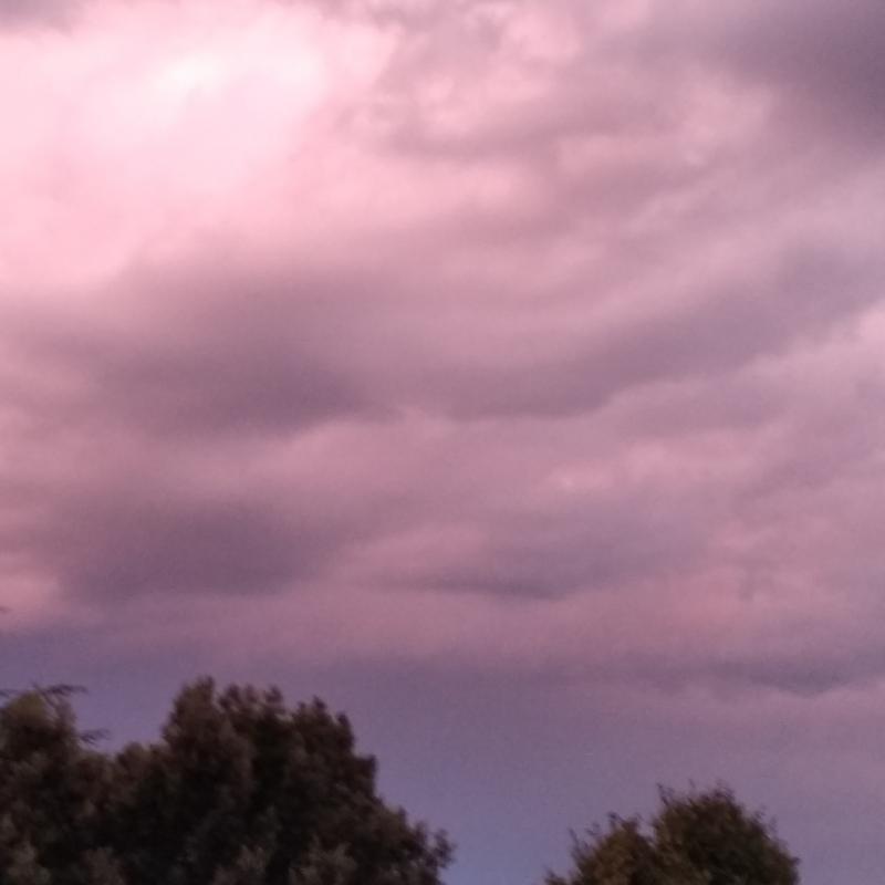 Fotosegnalazione di Mira