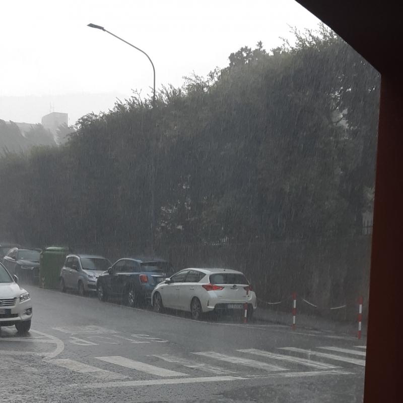 Fotosegnalazione di Sestri levante