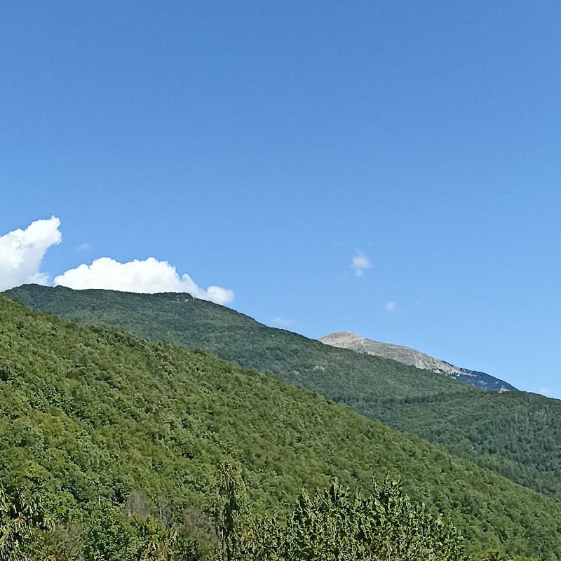 Fotosegnalazione di Trevi nel lazio