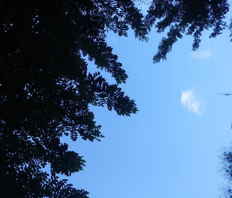 Nuvola solitaria