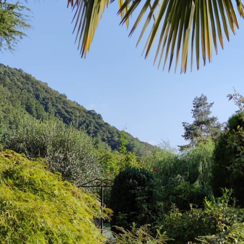 Fotosegnalazione di Adrara san martino