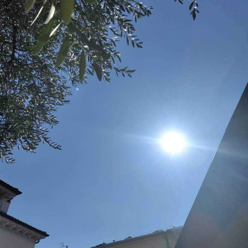 Fotosegnalazione di Verona