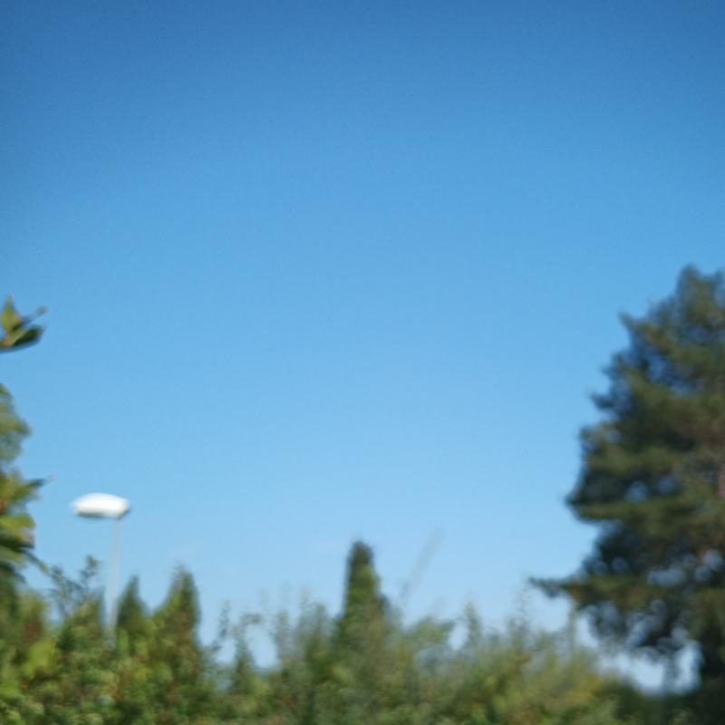 Fotosegnalazione di Schio