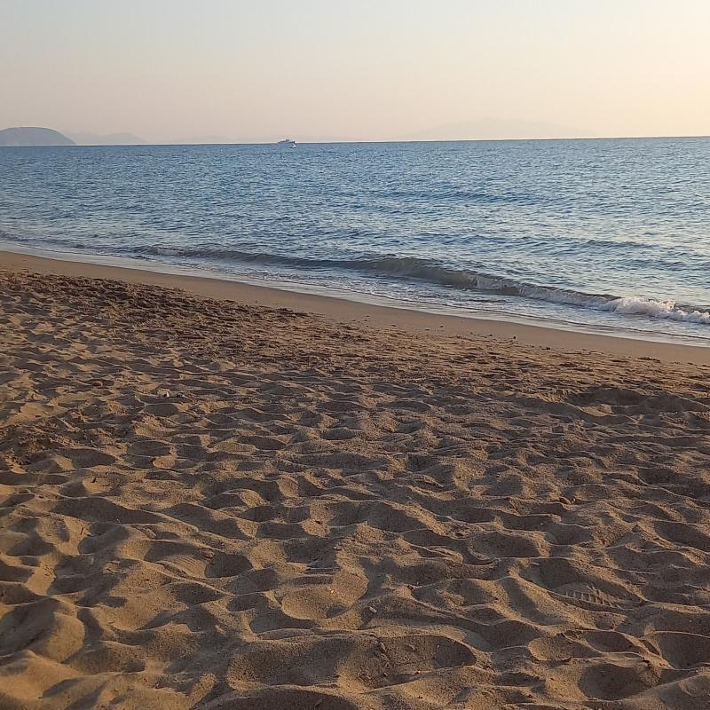 Fotosegnalazione di San vincenzo