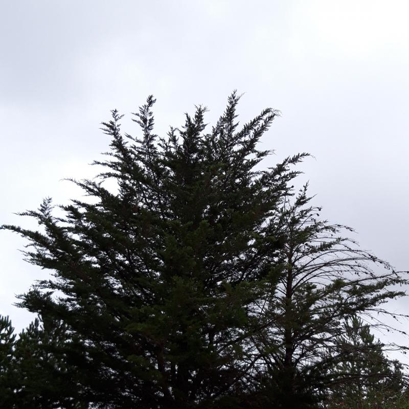 Fotosegnalazione di Petralia sottana