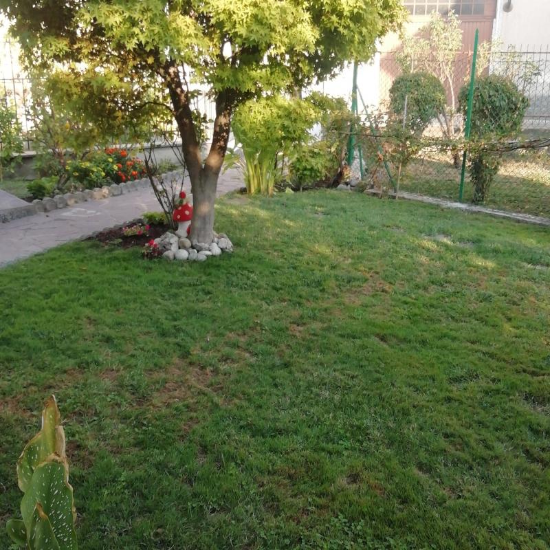 Fotosegnalazione di Voghera