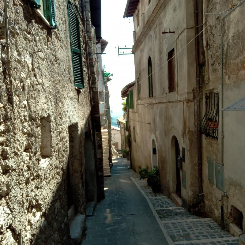 Fotosegnalazione di Olevano romano