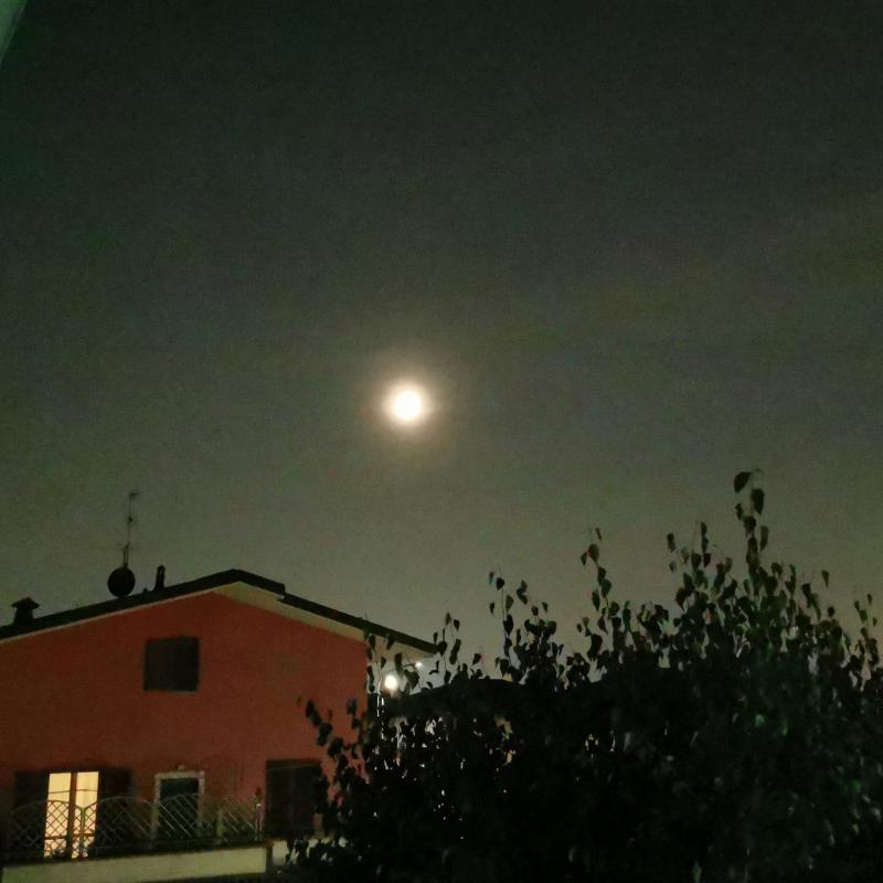 Fotosegnalazione di Bonate sotto