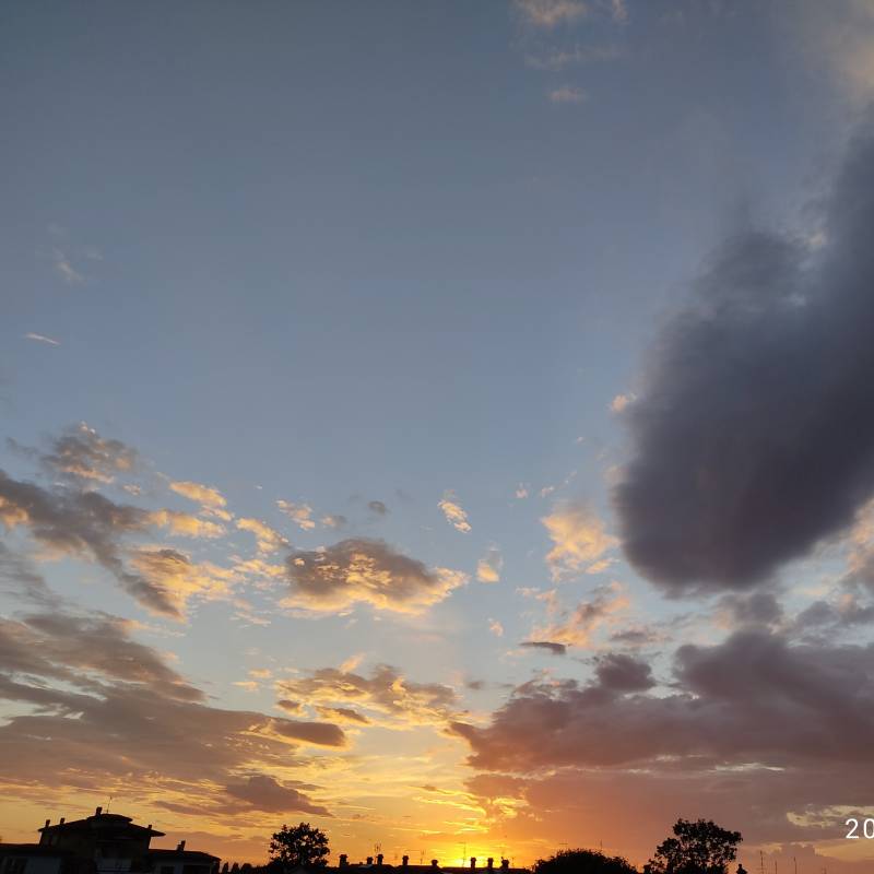 Fotosegnalazione di Bellaria igea marina