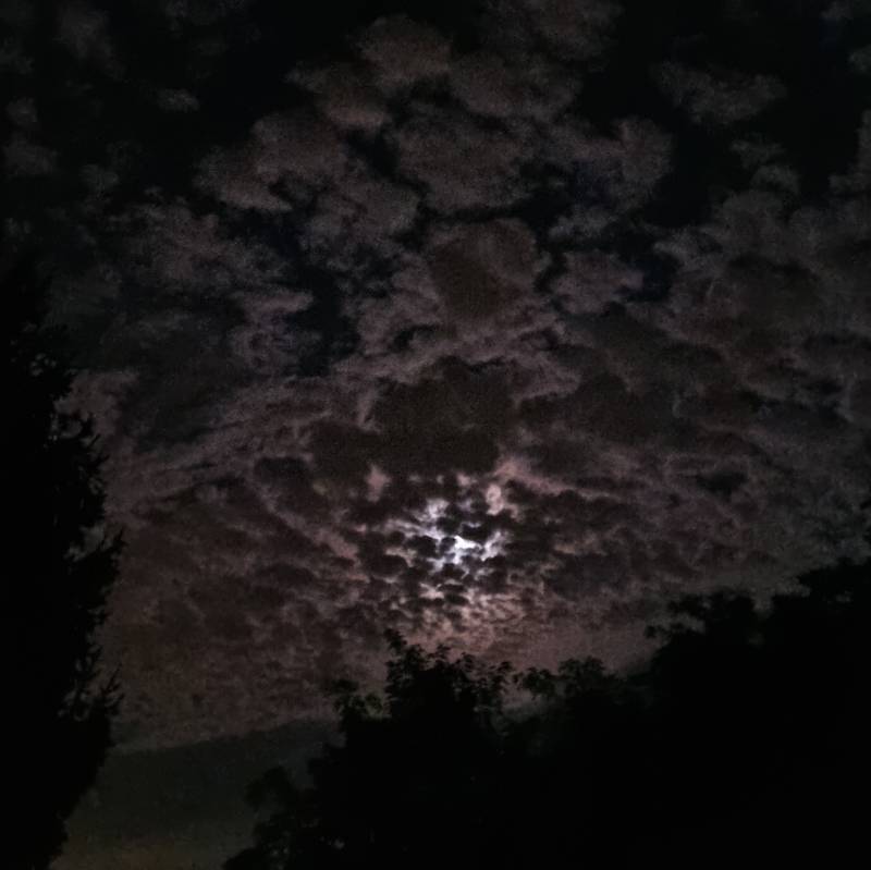 Fotosegnalazione di Turbigo