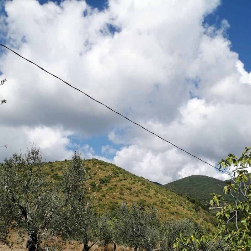 Fotosegnalazione di Salisano