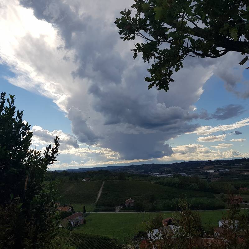 Fotosegnalazione di San damiano d'asti