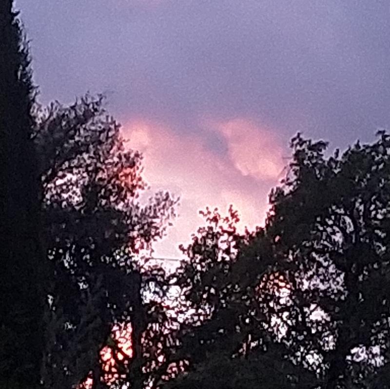 Fotosegnalazione di Cavriglia
