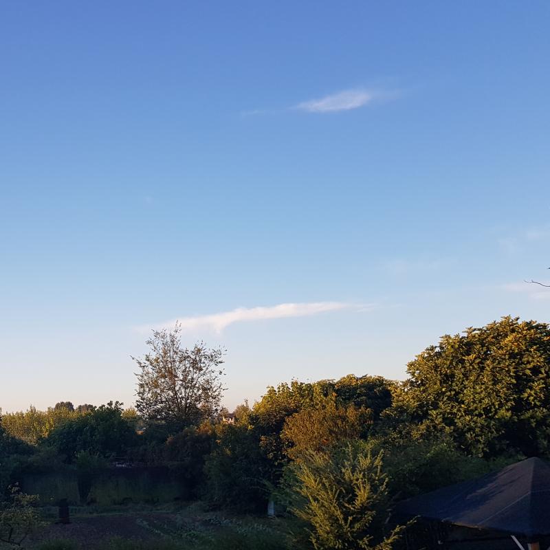 Buongiorno mondoe' gia' lunedi'