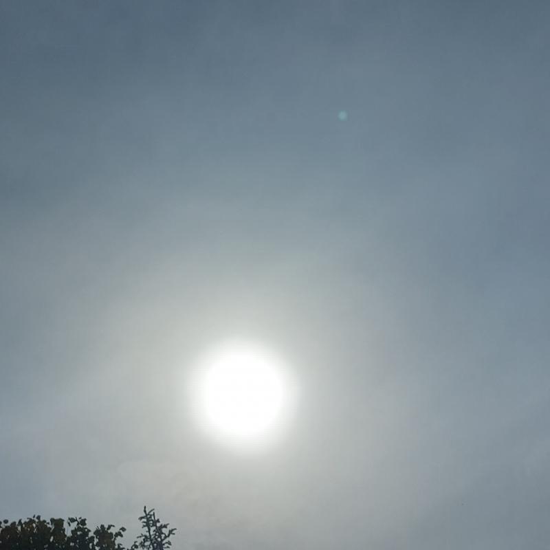 Fotosegnalazione di Predosa